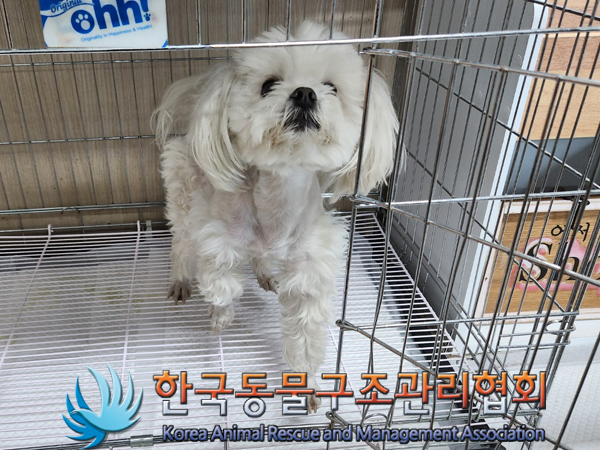 한국동물구조관리협회_411323202300231